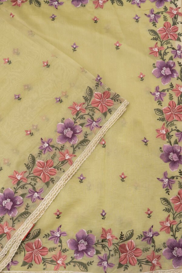 _DSC5856 ORGANZA SAREE - Pastel Pistachio Green