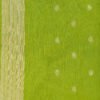 SEMI TUSSER - Parrot Green