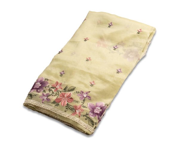 Untitled-25 ORGANZA SAREE - Pastel Pistachio Green