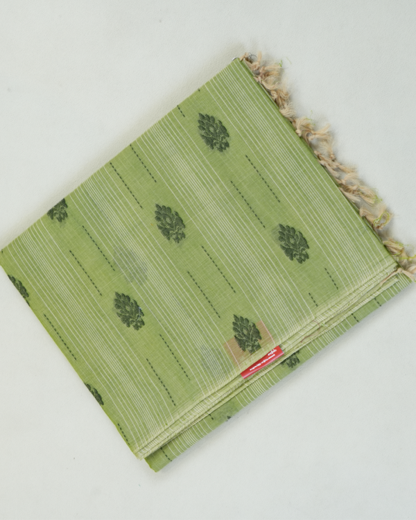 1 PURE COTTON SAREE - Light Olive Green with Dark Green