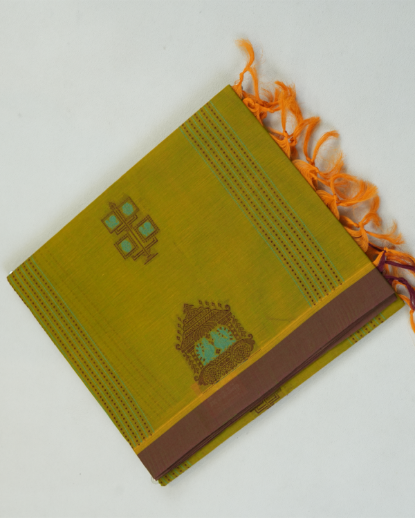 PURE COTTON - Mustard Olive Green with Coffee Brown