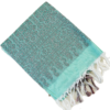 PURE COTTON SAREES - Aqua Mint Green with Teal & Maroon Accents