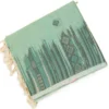 Untitled-1 PURE COTTON SAREES - Pastel Sea Green with Charcoal Grey & Beige Accents